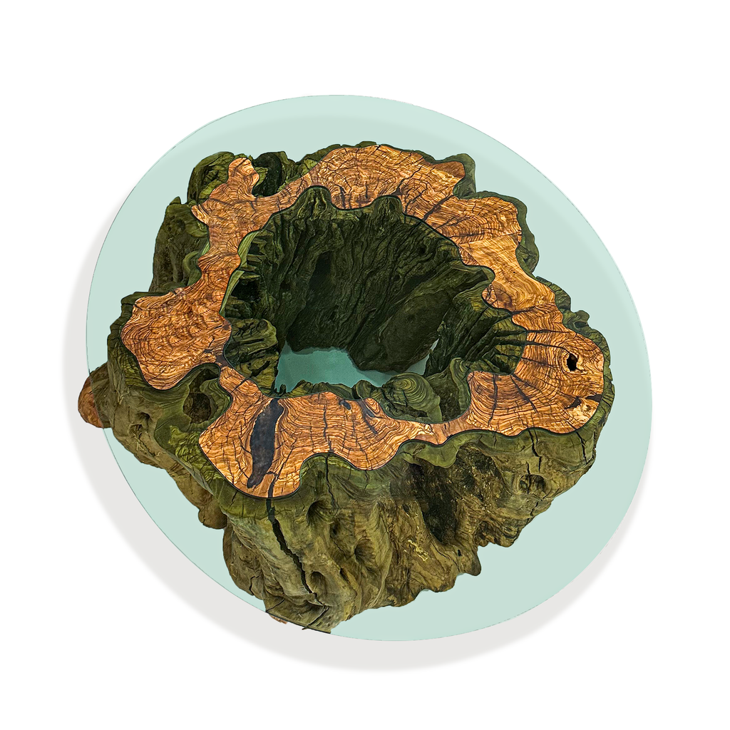 Root Oval Coffee Table - ARDITI COLLECTION®