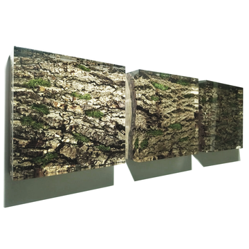 Bark Wall Art - ARDITI COLLECTION®