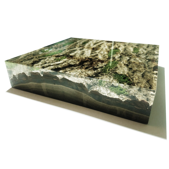 Clear resin Bark Wall Art featuring a detailed 3D topographical map of a coastal landmass