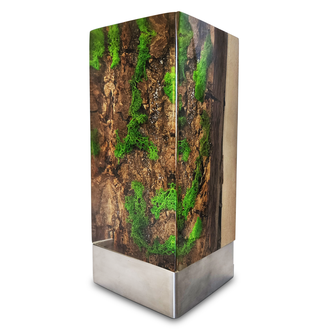 Decorative Forest Cube Table Lamp with preserved moss wood encased in resin and metal base