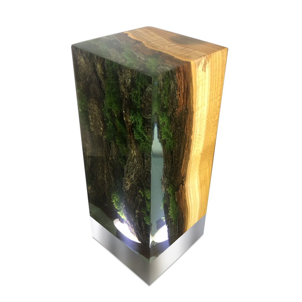 Forest Cube Table Lamp with clear resin, wood, moss, and bark inclusions illuminated from base