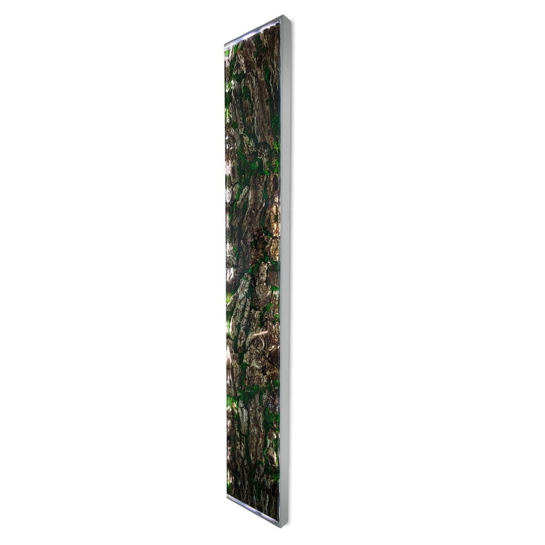 Jungle Strip Wall Art - ARDITI COLLECTION®
