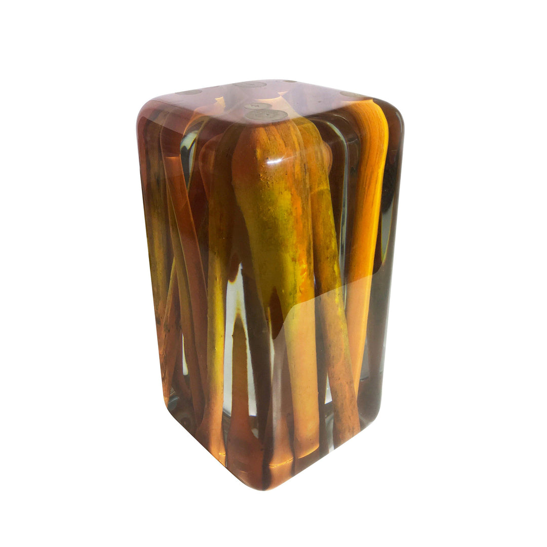 Translucent resin Orange Branches Cube encasing amber-colored natural organic branches