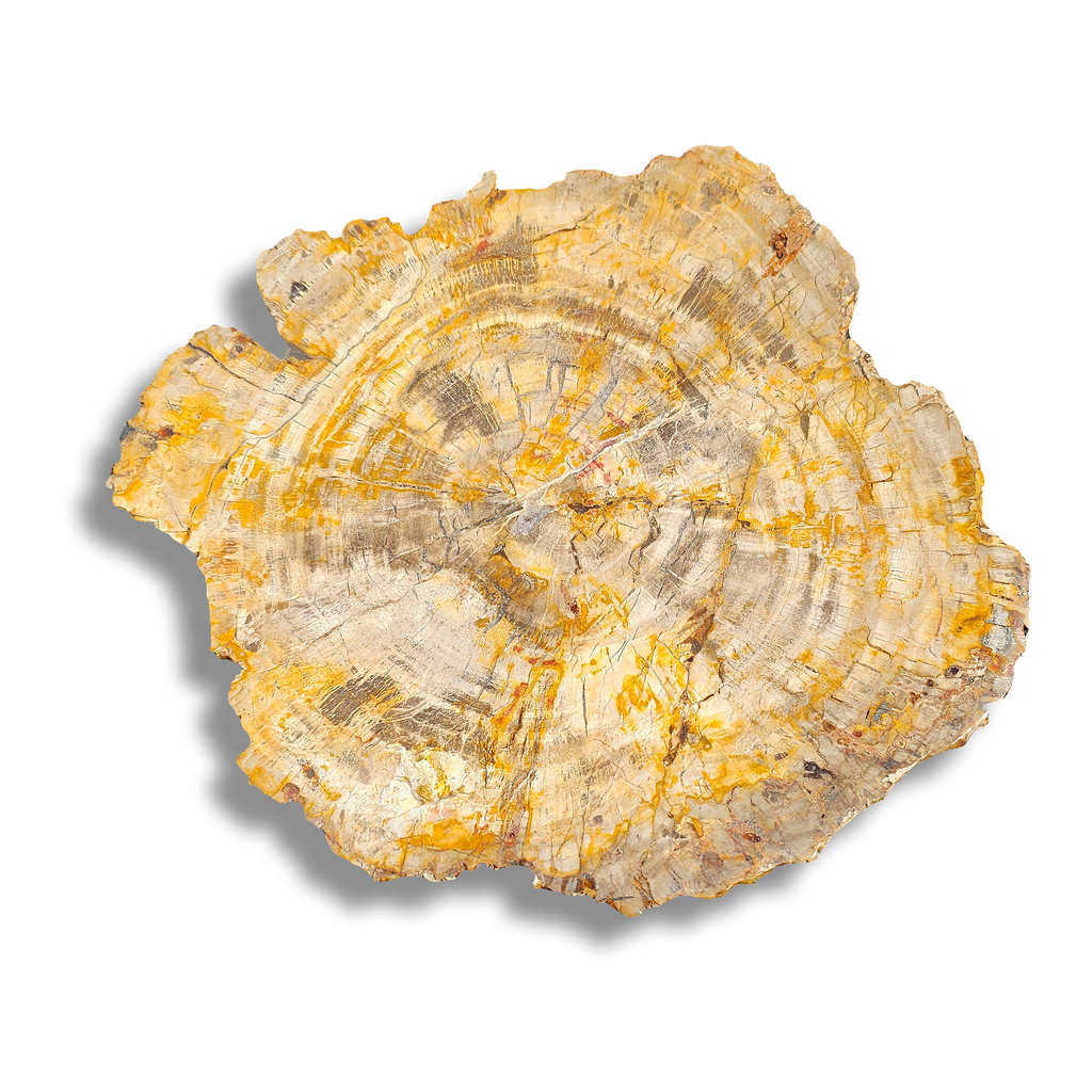 Petrified Wood Semi-Precious Stone Custom Wash Basin - ARDITI