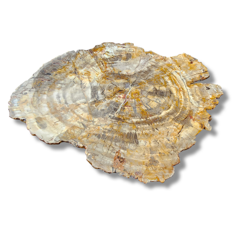 Petrified Wood Semi-Precious Stone Custom Wash Basin