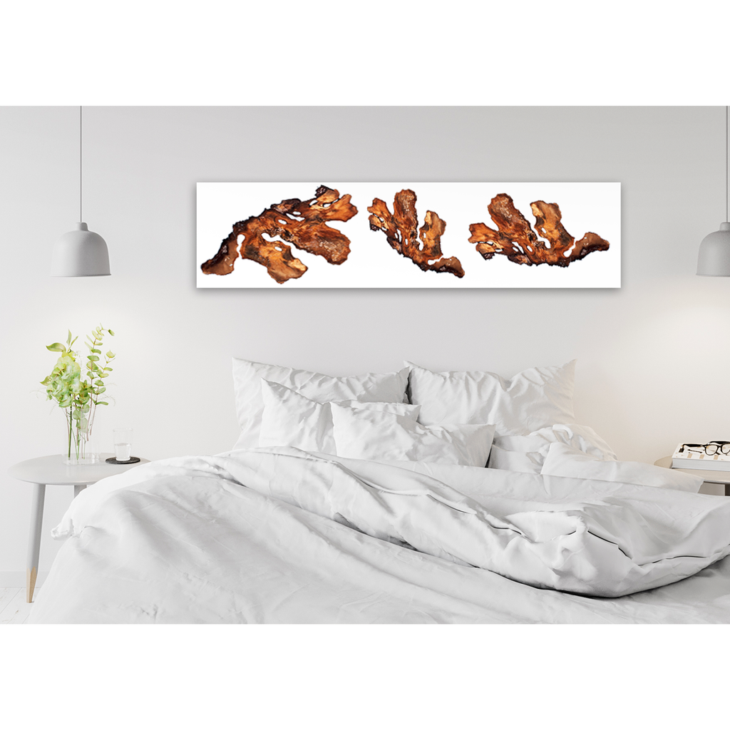 Crispy fried bacon pieces on white background for White Halia Wall Art decor