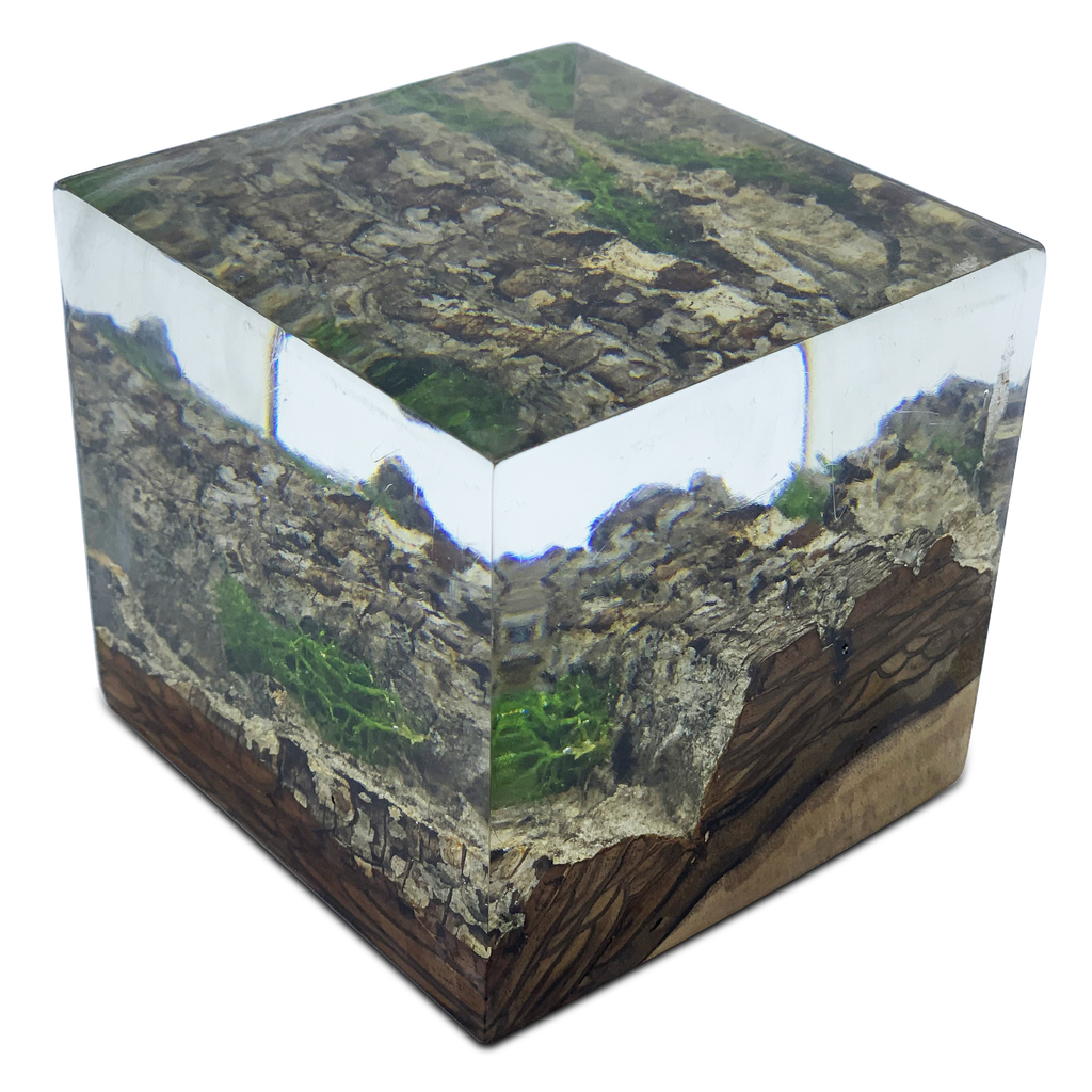 wood bark minimal decorative cube, decorative cube, modern decorative cube, wood decorative cube, resin decorative cube, eased edge decorative cube, ghost white decorative cube